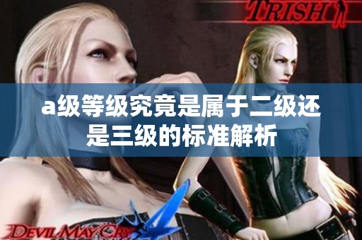 a级等级究竟是属于二级还是三级的标准解析