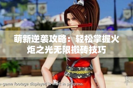 萌新逆袭攻略：轻松掌握火炬之光无限搬砖技巧