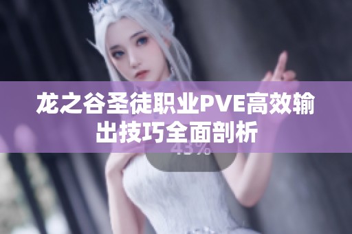 龙之谷圣徒职业PVE高效输出技巧全面剖析