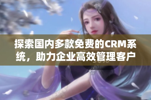 探索国内多款免费的CRM系统，助力企业高效管理客户关系