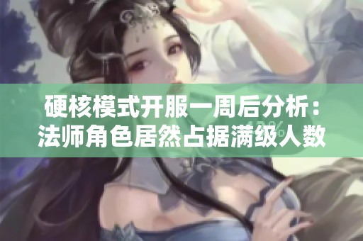 硬核模式开服一周后分析：法师角色居然占据满级人数绝大多数