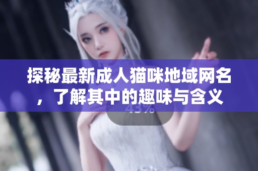 探秘最新成人猫咪地域网名，了解其中的趣味与含义