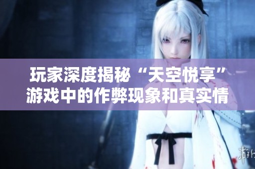 玩家深度揭秘“天空悦享”游戏中的作弊现象和真实情况