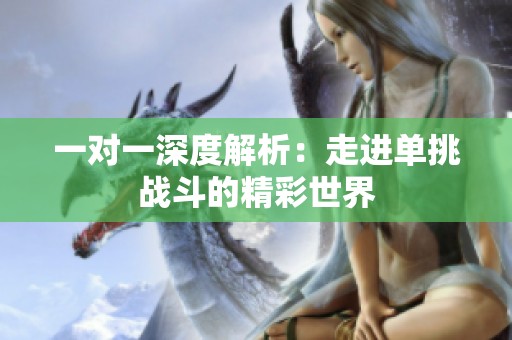 一对一深度解析：走进单挑战斗的精彩世界