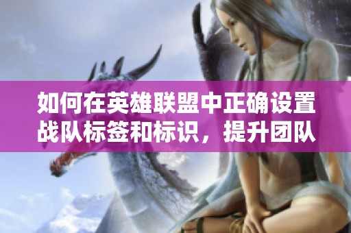 如何在英雄联盟中正确设置战队标签和标识，提升团队形象与交流效果