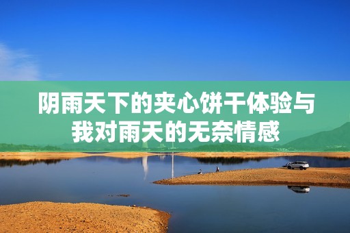 阴雨天下的夹心饼干体验与我对雨天的无奈情感
