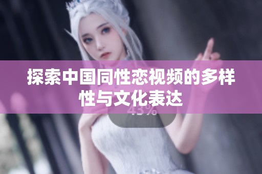 探索中国同性恋视频的多样性与文化表达