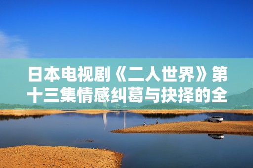 日本电视剧《二人世界》第十三集情感纠葛与抉择的全新篇章