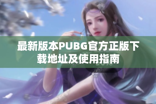 最新版本PUBG官方正版下载地址及使用指南
