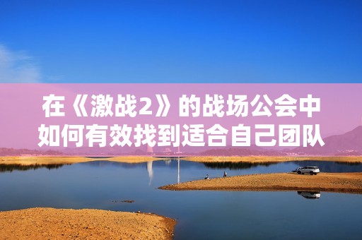 在《激战2》的战场公会中如何有效找到适合自己团队的方式提升游戏乐趣