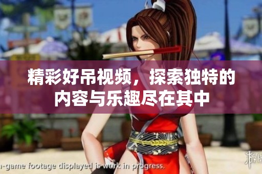 精彩好吊视频，探索独特的内容与乐趣尽在其中