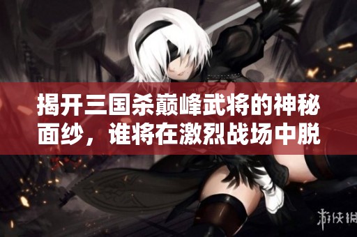 揭开三国杀巅峰武将的神秘面纱，谁将在激烈战场中脱颖而出称霸天下