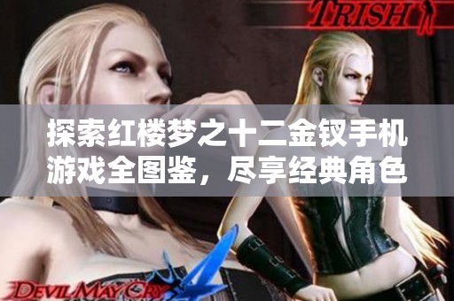 探索红楼梦之十二金钗手机游戏全图鉴，尽享经典角色与剧情魅力！