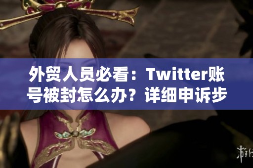 外贸人员必看：Twitter账号被封怎么办？详细申诉步骤解析分享