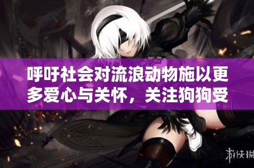 呼吁社会对流浪动物施以更多爱心与关怀，关注狗狗受冻流血的悲惨遭遇