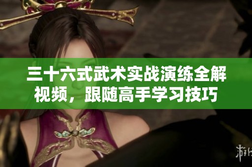 三十六式武术实战演练全解视频，跟随高手学习技巧