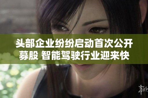 头部企业纷纷启动首次公开募股 智能驾驶行业迎来快速发展新机遇