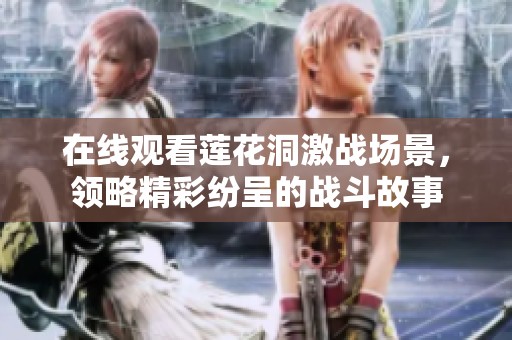 在线观看莲花洞激战场景，领略精彩纷呈的战斗故事