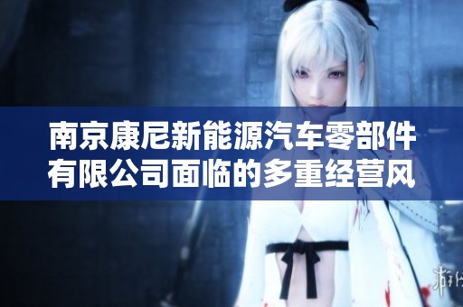 南京康尼新能源汽车零部件有限公司面临的多重经营风险分析及应对策略探讨