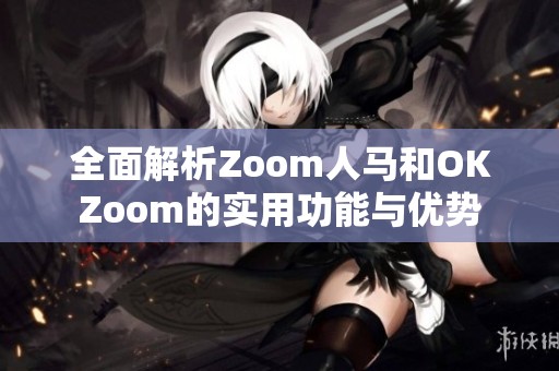 全面解析Zoom人马和OKZoom的实用功能与优势
