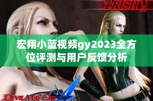 宏翔小蓝视频gy2023全方位评测与用户反馈分析