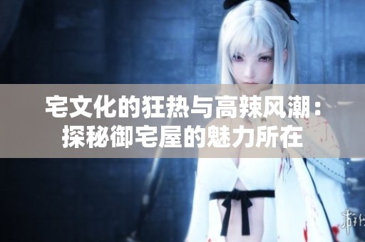 宅文化的狂热与高辣风潮：探秘御宅屋的魅力所在