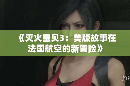 《灭火宝贝3：美版故事在法国航空的新冒险》