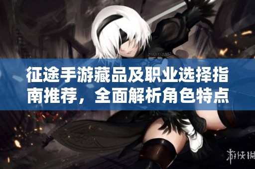 征途手游藏品及职业选择指南推荐，全面解析角色特点与玩法策略