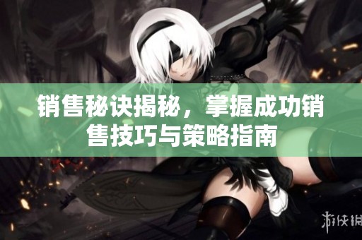 销售秘诀揭秘，掌握成功销售技巧与策略指南