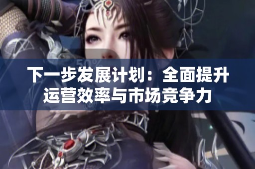 下一步发展计划：全面提升运营效率与市场竞争力