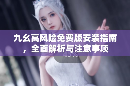 九幺高风险免费版安装指南，全面解析与注意事项
