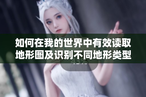 如何在我的世界中有效读取地形图及识别不同地形类型的方法解析