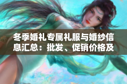 冬季婚礼专属礼服与婚纱信息汇总：批发、促销价格及产地详解