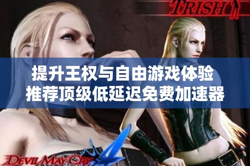 提升王权与自由游戏体验 推荐顶级低延迟免费加速器选择分享