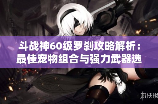斗战神60级罗刹攻略解析：最佳宠物组合与强力武器选择分享