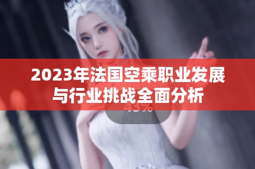2023年法国空乘职业发展与行业挑战全面分析
