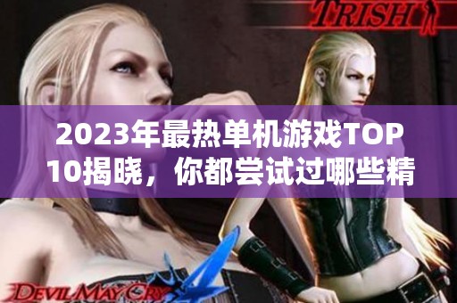 2023年最热单机游戏TOP10揭晓，你都尝试过哪些精彩作品呢