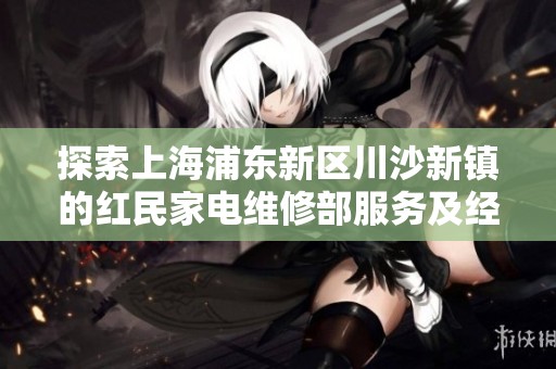 探索上海浦东新区川沙新镇的红民家电维修部服务及经营情况分析
