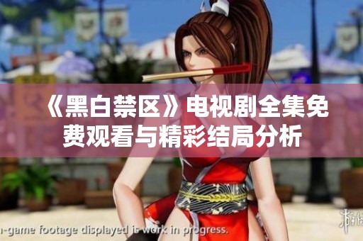 《黑白禁区》电视剧全集免费观看与精彩结局分析