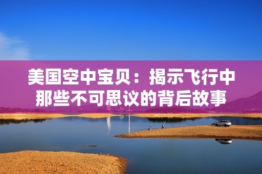 美国空中宝贝：揭示飞行中那些不可思议的背后故事