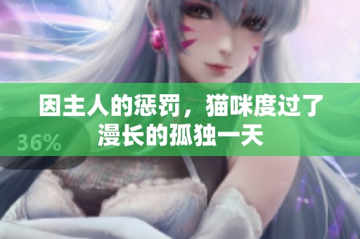 因主人的惩罚，猫咪度过了漫长的孤独一天