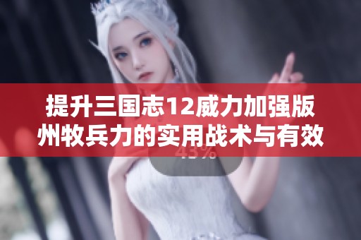 提升三国志12威力加强版州牧兵力的实用战术与有效策略探索