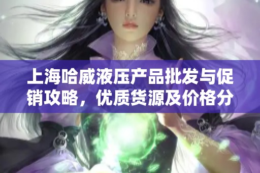 上海哈威液压产品批发与促销攻略，优质货源及价格分析