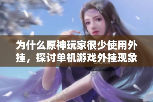 为什么原神玩家很少使用外挂，探讨单机游戏外挂现象