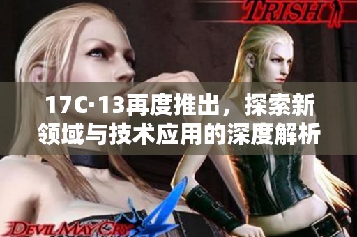 17C·13再度推出，探索新领域与技术应用的深度解析
