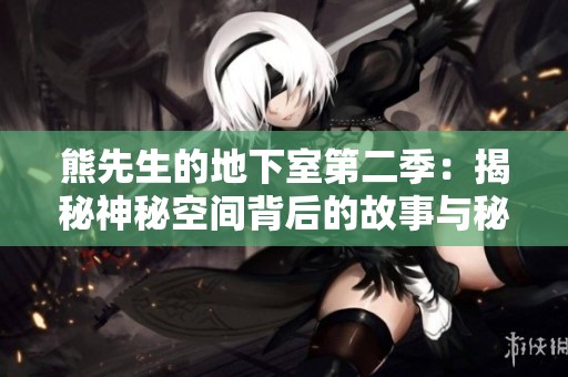 熊先生的地下室第二季：揭秘神秘空间背后的故事与秘密