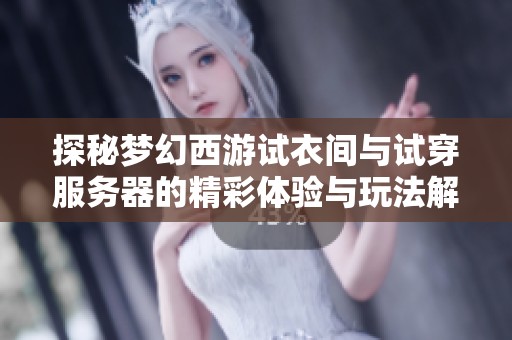探秘梦幻西游试衣间与试穿服务器的精彩体验与玩法解析