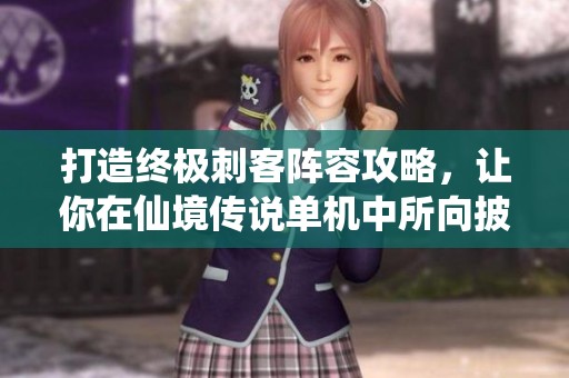 打造终极刺客阵容攻略，让你在仙境传说单机中所向披靡