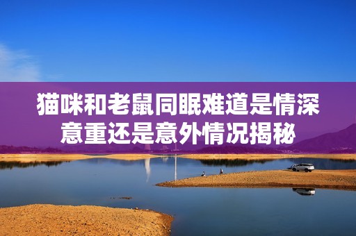 猫咪和老鼠同眠难道是情深意重还是意外情况揭秘