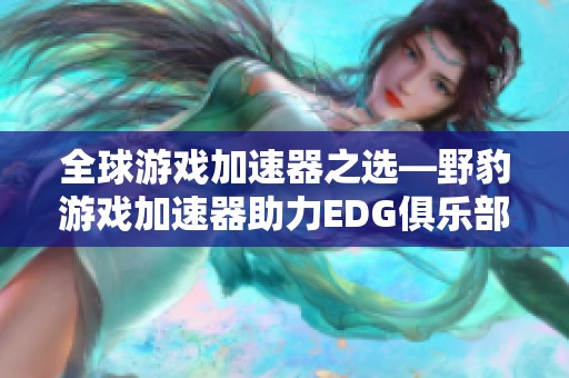 全球游戏加速器之选—野豹游戏加速器助力EDG俱乐部畅玩无阻